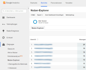 Google Analytics Nutzter-Explorer